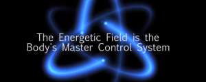 Bioenergetics - the Master Control System of the Body